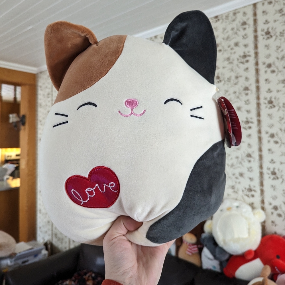 Cam Valentines Day Squishmallow